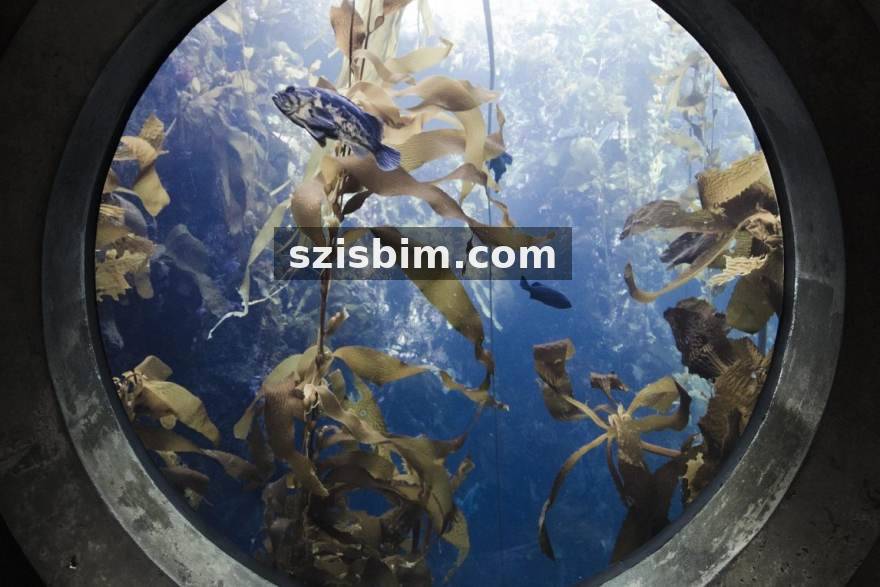 火狐电竞数据观察：秋季赛版本更新后中野联动节奏变化